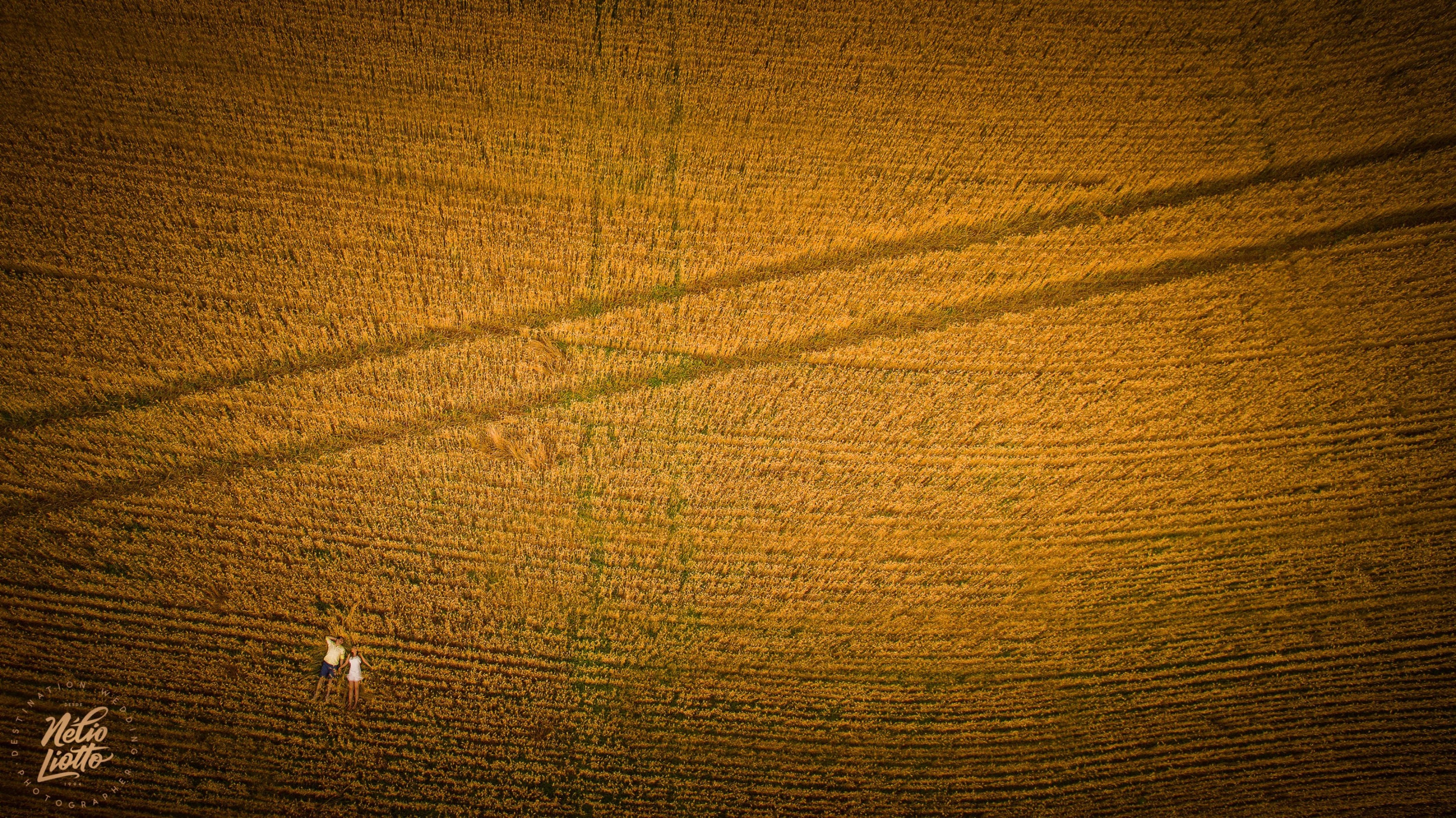 Foto de Nélio Antônio Liotto 49