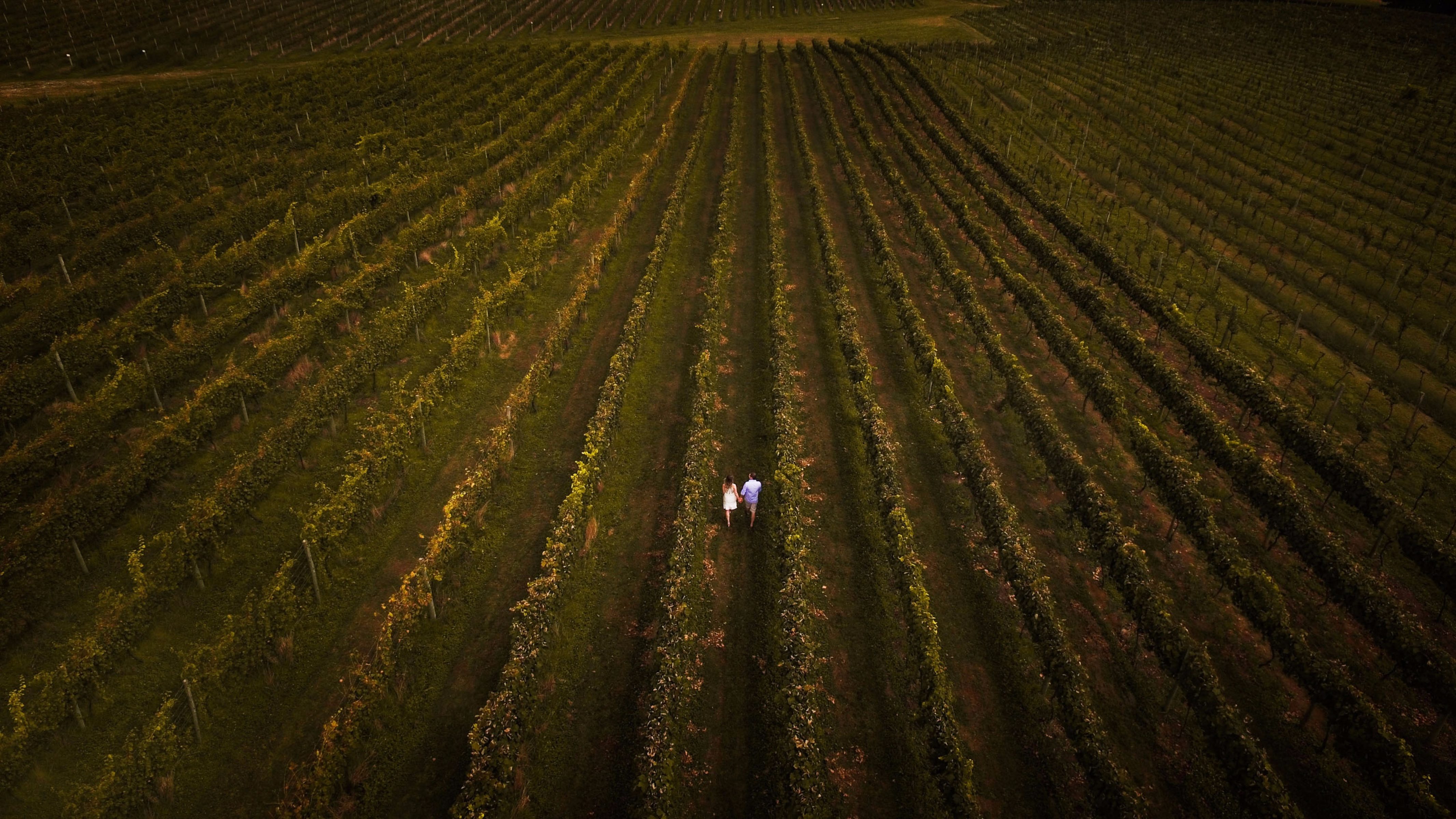 Foto de Nélio Antônio Liotto 44