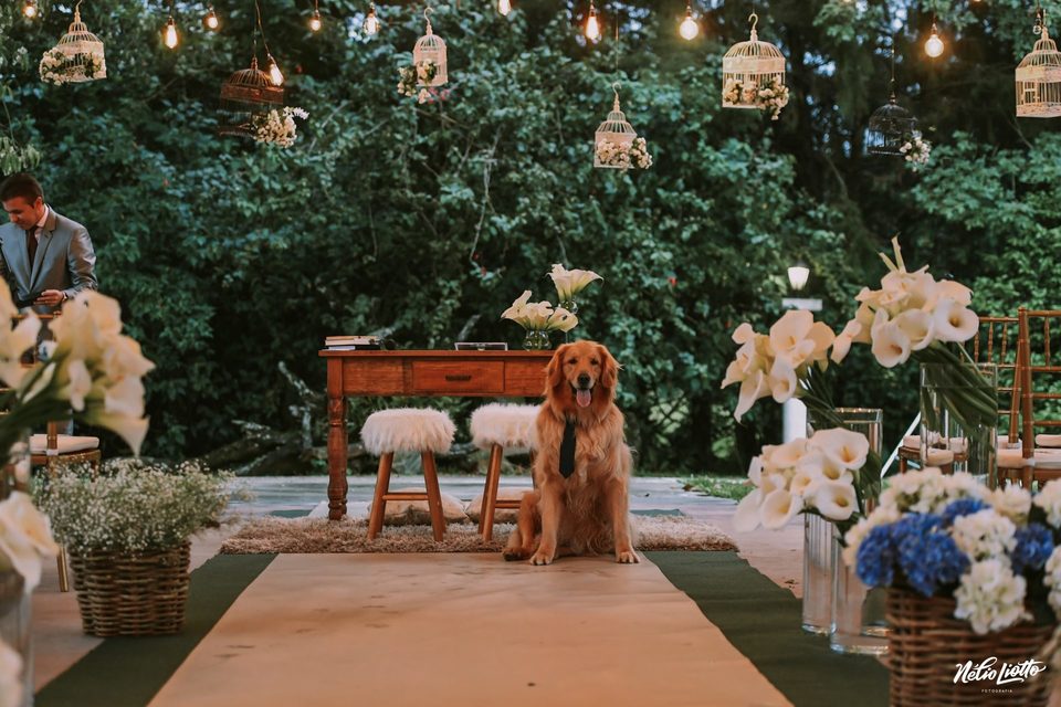 Laura + Binho | Wedding